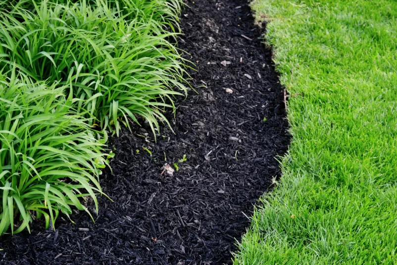 Rasenpflege und Gartenservice im Landkreis Regensburg