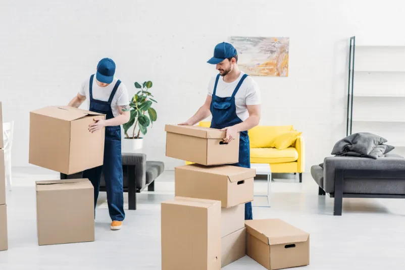 Sichere Möbeltransporte mit professionellen Umzugshelfern