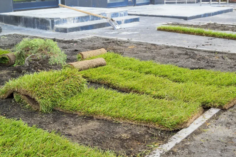 Günstiger Garten- und Landschaftsbau Ostalbkreis