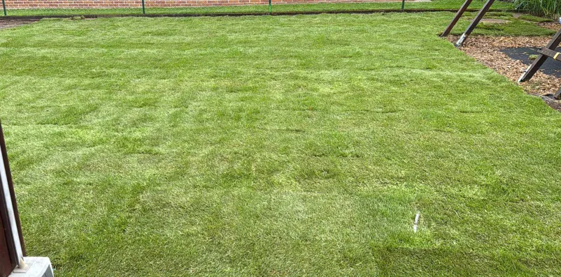 Schilling & Lang, Ihr Experte für Gartenbau, guter Gärtner im Landkreis Fürth