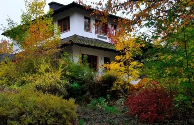 Professioneller Gartenbauer in Morbach und Umgebung