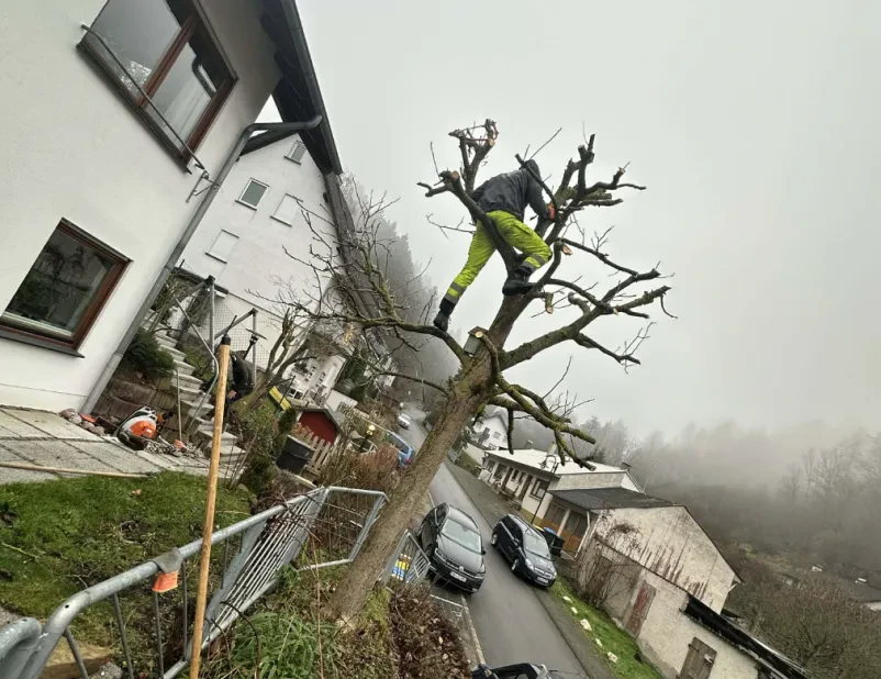 Die beste Wahl für hochwertige Immobilienbetreuung und Hausmeisterservice in Rheinland-Pfalz