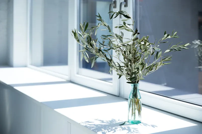 Hochwertige Designs und Materialien für veredelte Wände und Decken in Darmstadt-Dieburg