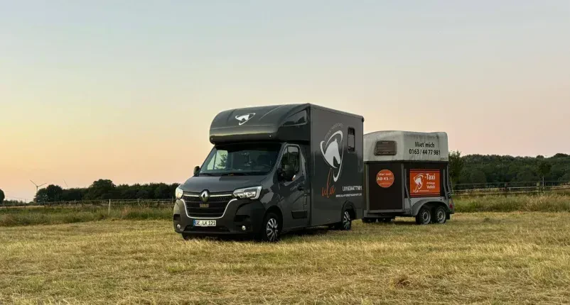 Professionelle Pferdetransporte Gelsenkirchen