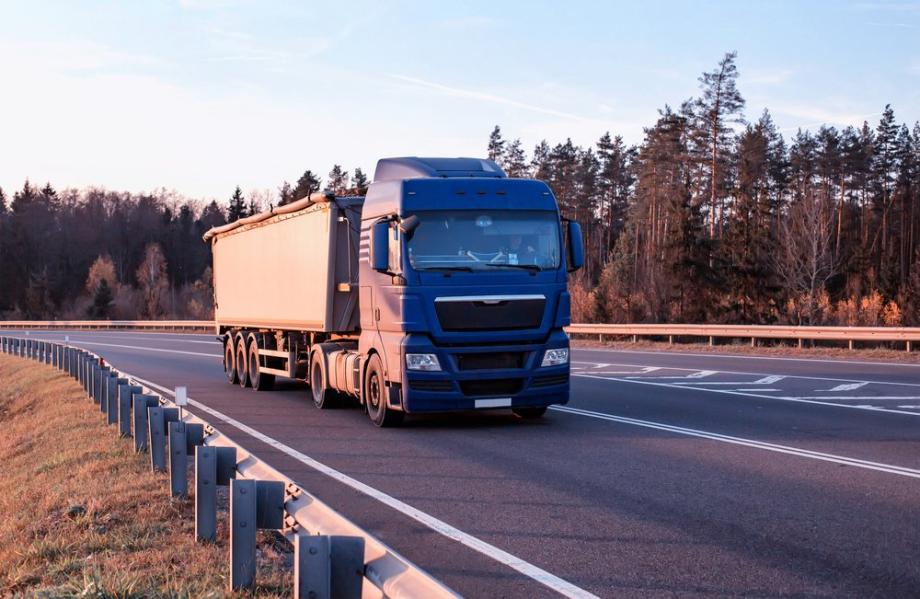 Wirtschaftliche Bedeutung