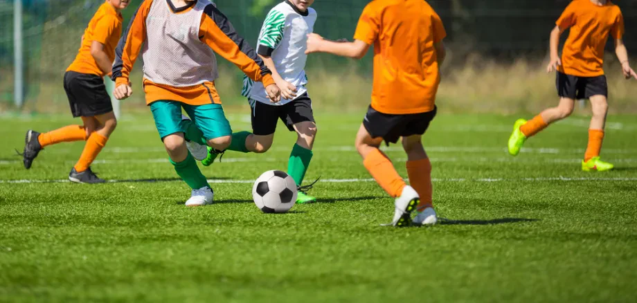 Organisation und Struktur von Sportvereinen