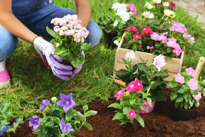 Zuverlässige Gartenbauprofis im Landkreis Remscheid