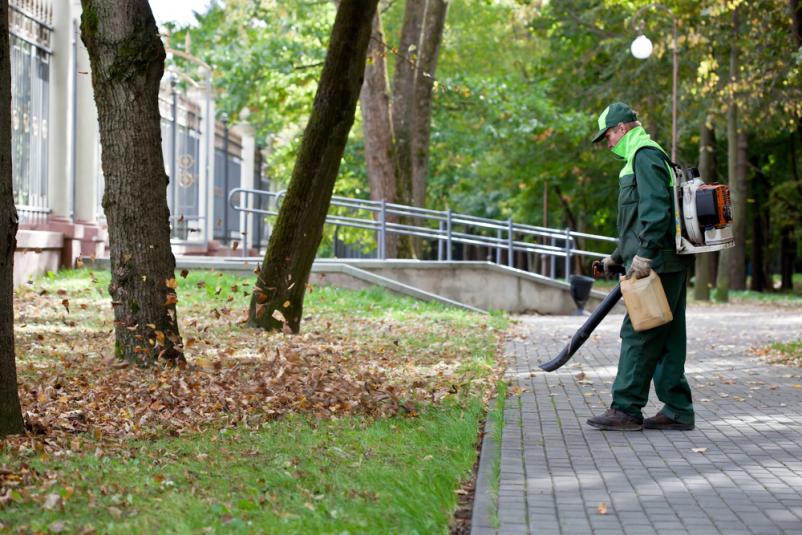 Günstige Außenanlagenpflege in Winnenden