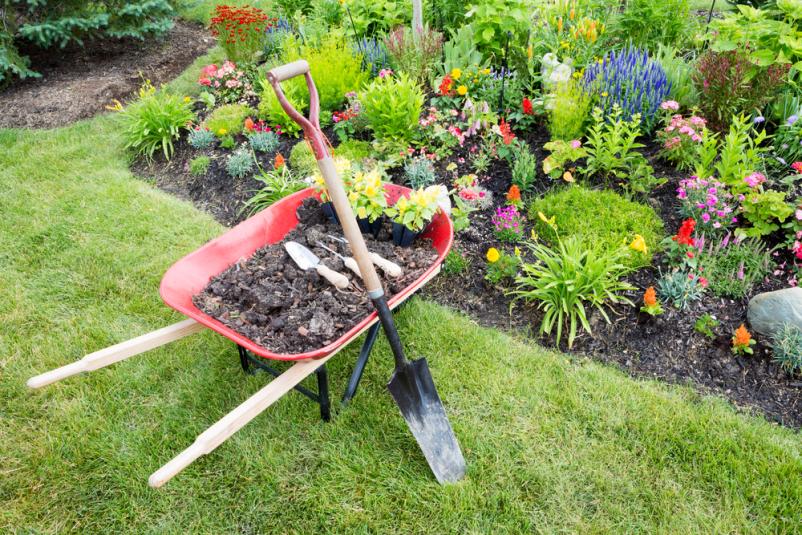 Professioneller Gartenbau im Rhein-Main-Gebiet