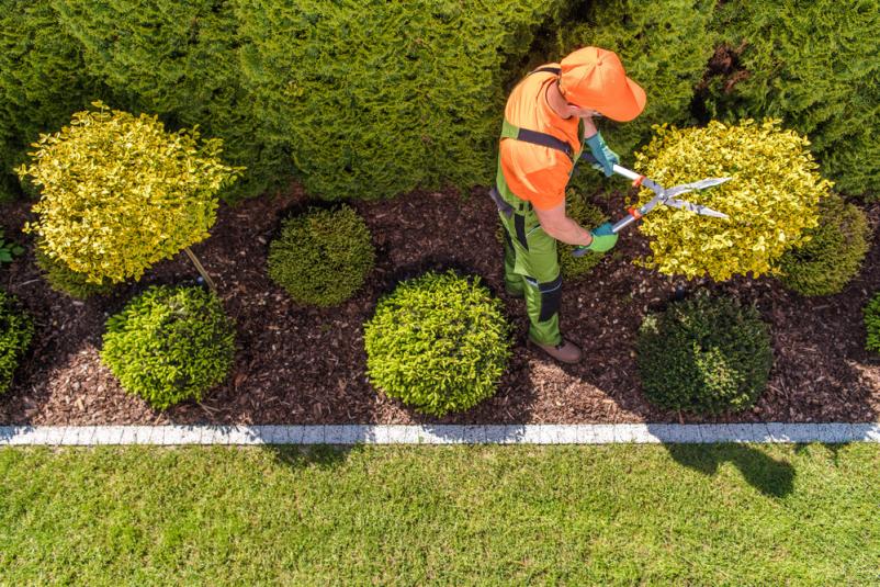 Fachgerechter Gartenbau Frauenneuharting