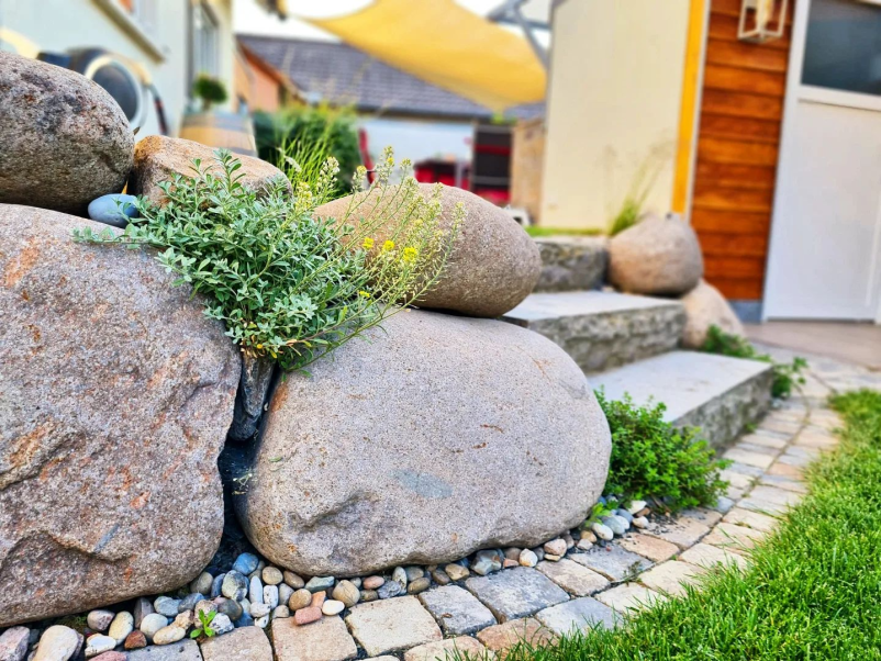 Hochwertige Naturgärten in Mutterstadt