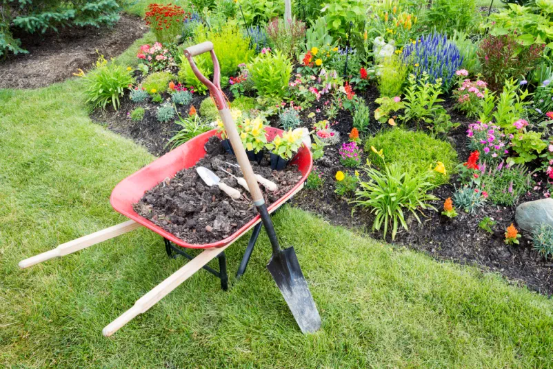 Beste Gartenpflege und -bau Stralsund - Leistungen