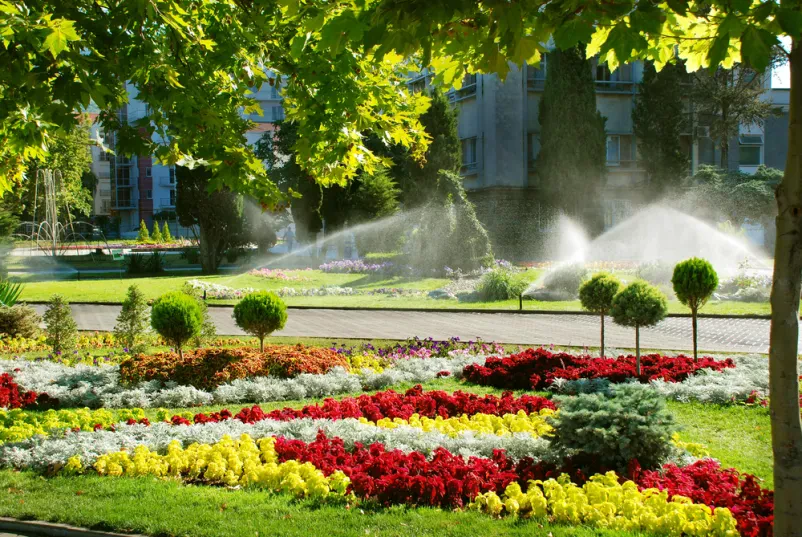 Beste Gartenpflege und -bau Stralsund