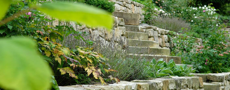 Bester Garten- und Landschaftsbau Harsum