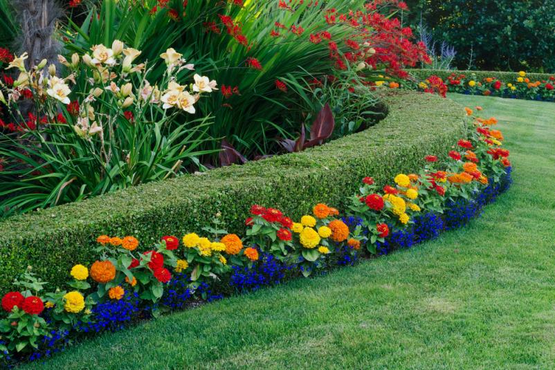 Garten- und Landschaftsbauer in Montabaur