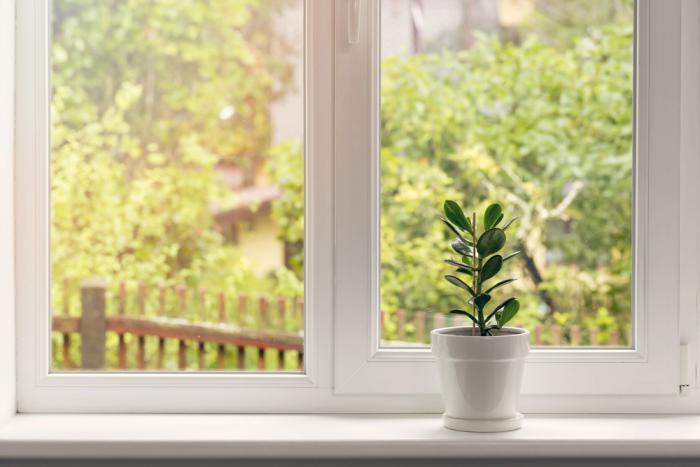 Fenster Kosten