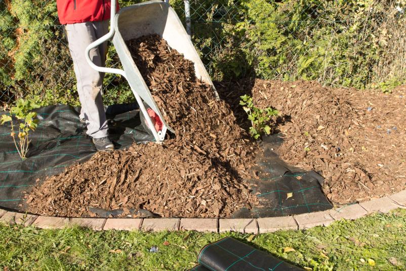 Gartengestaltung und Landschaftsbau Ruhstorf