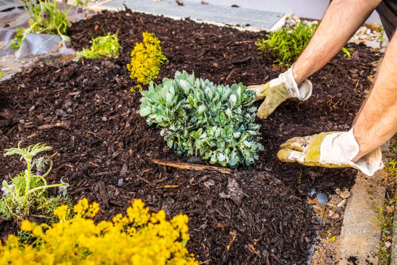 Juri Seibel Garten- und Landschaftsbau bietet preiswerte Gartengestaltung und Landschaftsgestaltung!