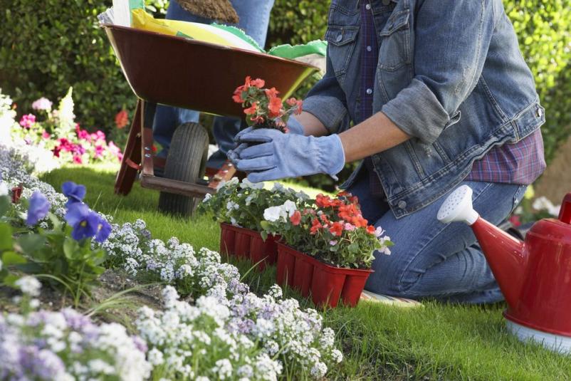 Beste Gartenpflege in Kirchheimbolanden