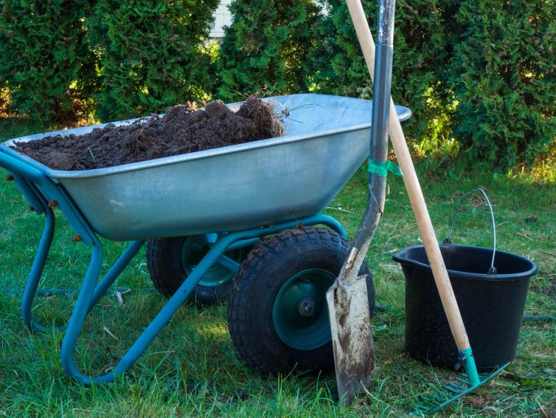 Professionelle Gartenpflege in Sulzbach