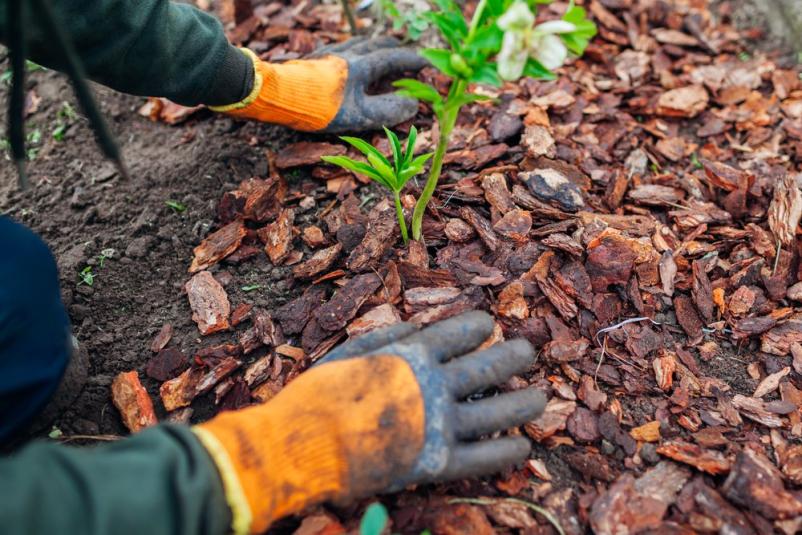 Günstige Gartenhilfe Fürth