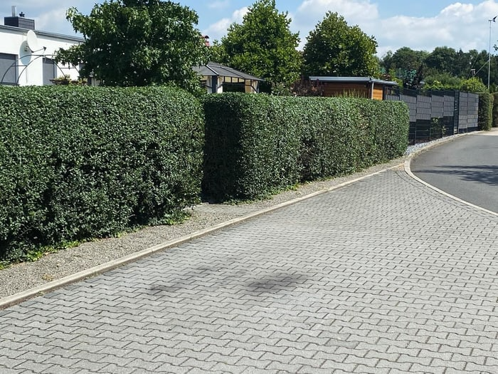 Bester Galabau in Wetterzeube und Umgebung