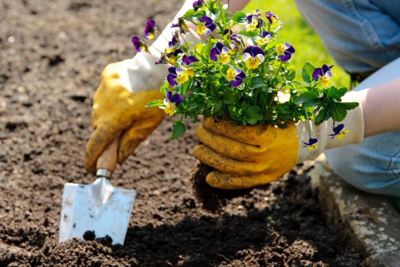 Bester Gartenbau in Gießen