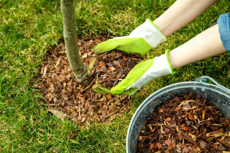 Bester Gartenbauer in Ulm