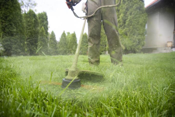 Gartenpflege
