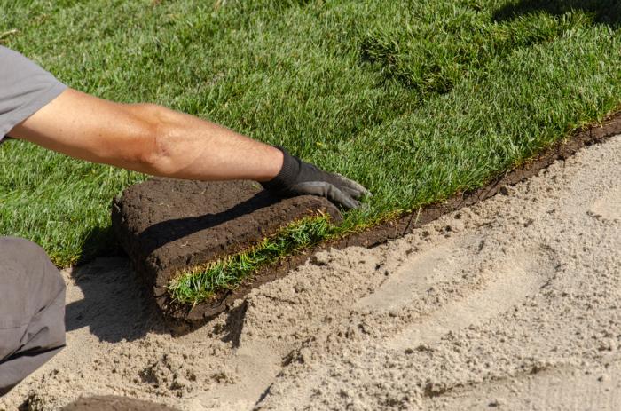 Experten für Landschaftsgestaltung