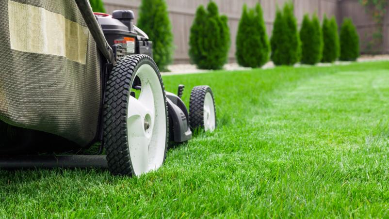 Transport und Gartenarbeiten Karlsruhe