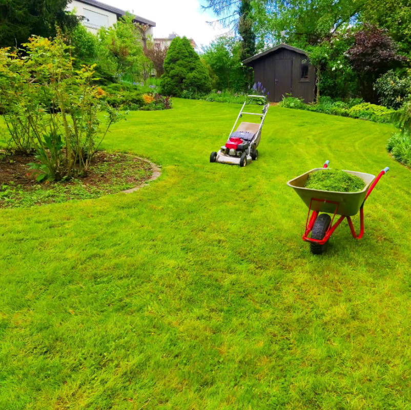 Bester Garten- und Landschaftsbau in Gießen