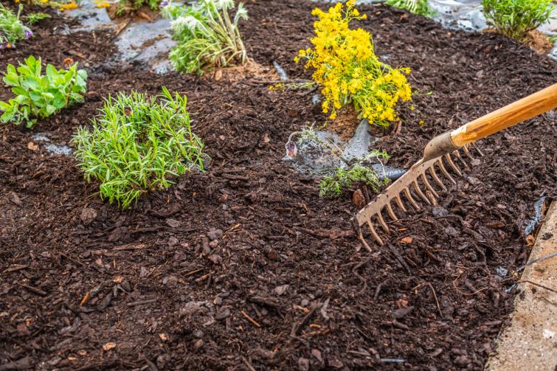 Bester Gartenbauer in Solingen und Umgebung