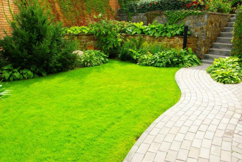 Fachgerechter Gartenbau Apolda und Umgebung