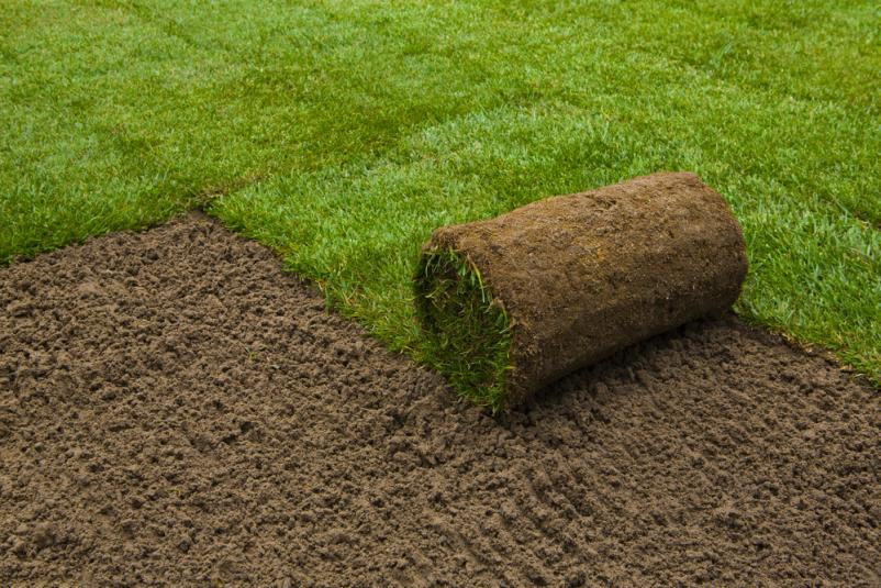 Gartenpflege mit System, so bleibt Ihr Grün dauerhaft schön