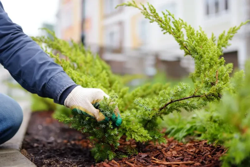 Jetzt Garten gestalten mit dem besten Gartenservice in Müncheberg