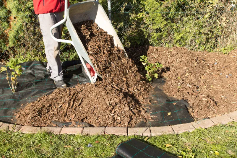 Gartenservice in Müncheberg
