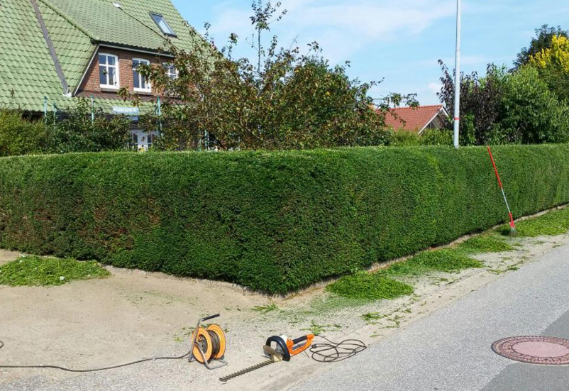 Hausmeisterservice in Mainz, Lonsheim