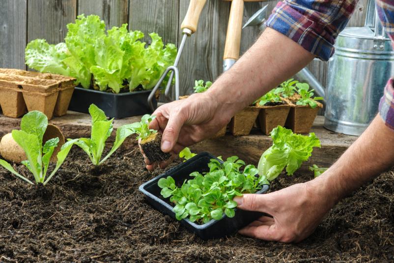 Bester Garten- und Landschaftsbau in Wilhelmshaven und Umgebung