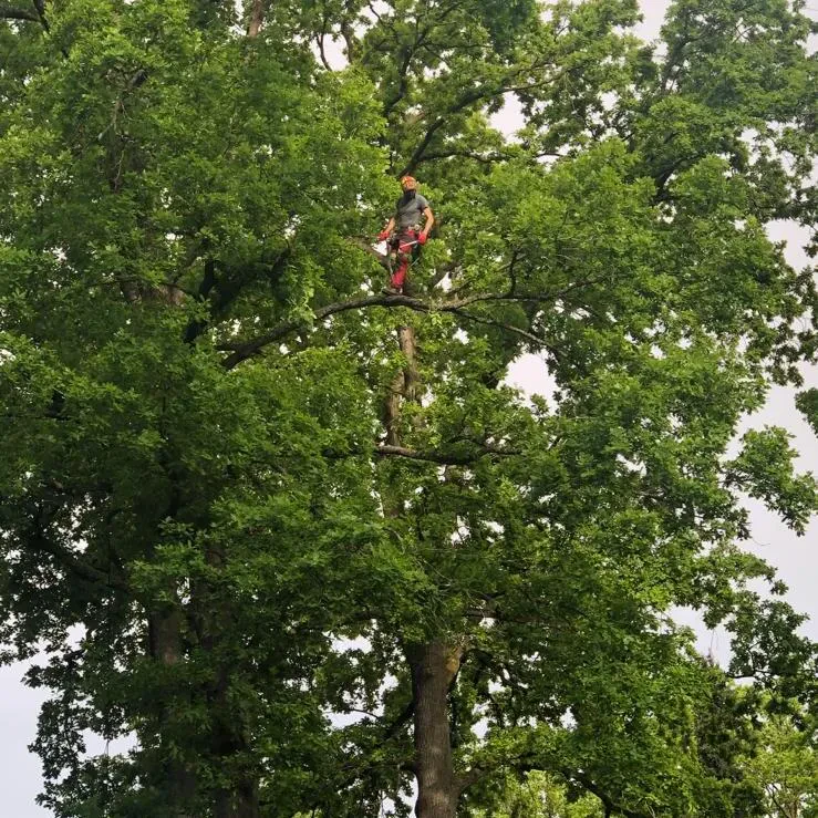 Ihr Spezialist für professionelle Gartengestaltung in Wegberg