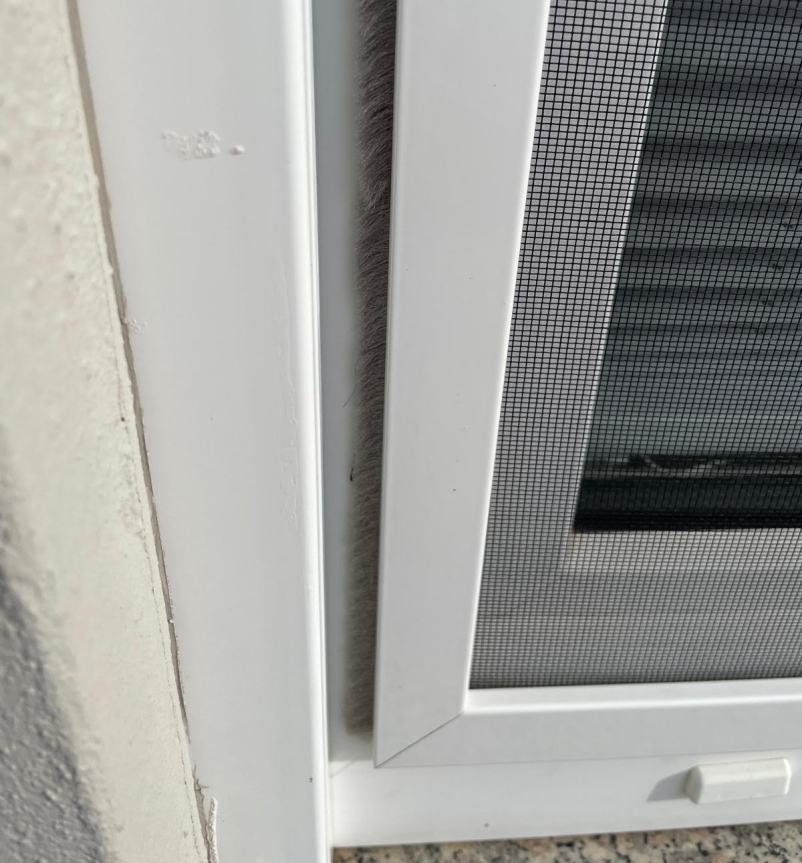 Hochwertige Insektenschutzsysteme Trier, schnelle Montage