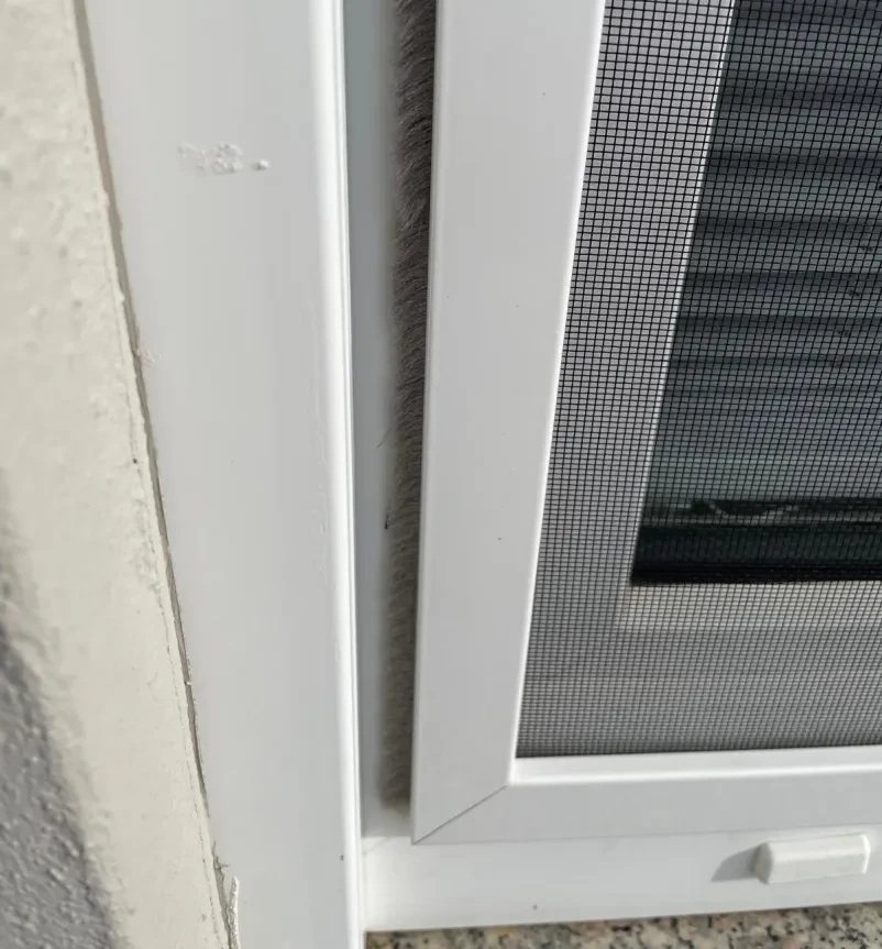 Hochwertige Insektenschutzsysteme Trier, schnelle Montage