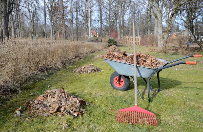 Gartenpflege, Malerarbeiten und mehr, Allround-Service in Borna
