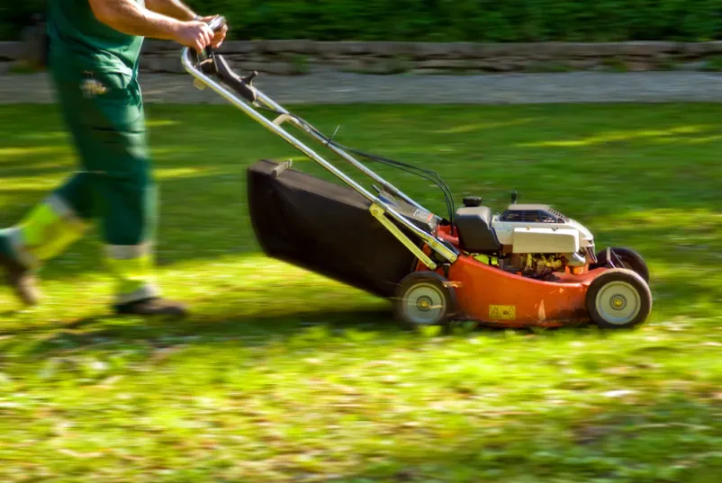 Gartengestaltung und Hausmeisterservice Rheinmünster