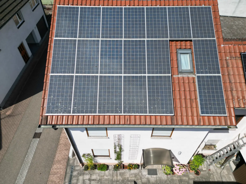 Effektive Taubenabwehrsysteme in Baden-Baden