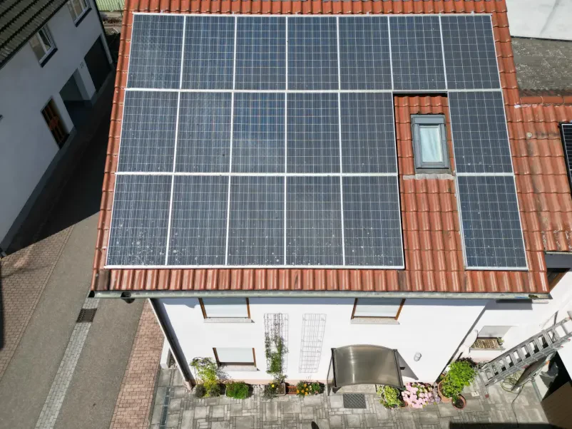 Effektive Taubenabwehrsysteme in Baden-Baden