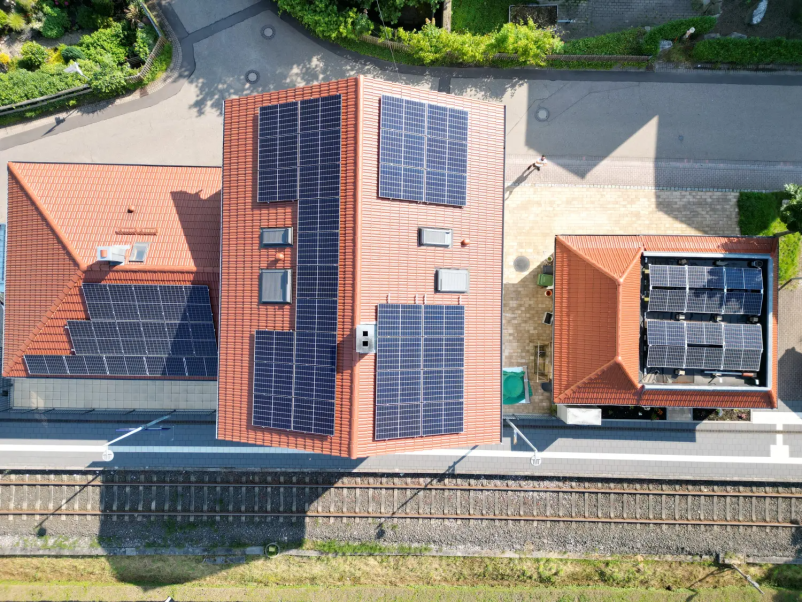 Experte für effektive Taubenabwehrsysteme