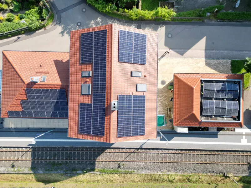 Experte für effektive Taubenabwehrsysteme