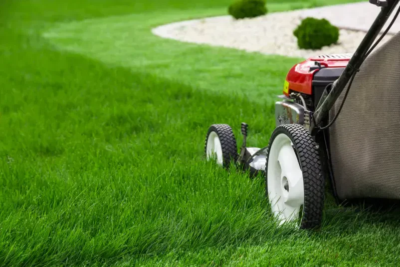 Gartenarbeit in Witten