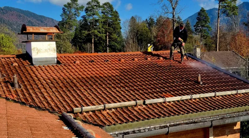 Bester Hausmeister- und Gartenservice in München